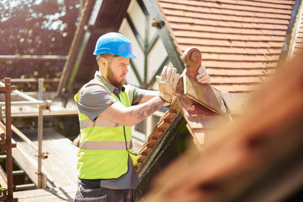 Best Roof Gutter Cleaning  in Middletown, OH
